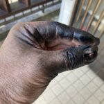 アクリルウレタン塗料で「自分の手」まで塗装してしまったおっさんの末路